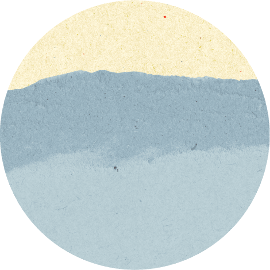 Picture of H. uvarum (LSB8001)