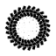 Picture of Lactobacillus paracasei