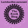 Picture of Lactobacillus paracasei
