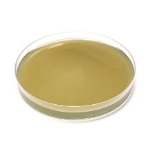 Picture of LCSM Agar Plates 100mm