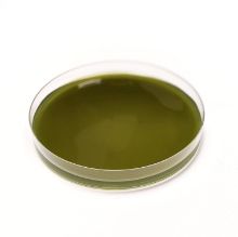 Picture of LMDA Agar Plates 100mm