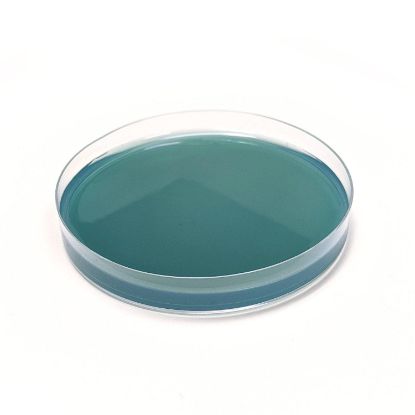 Picture of WLD Agar Plates