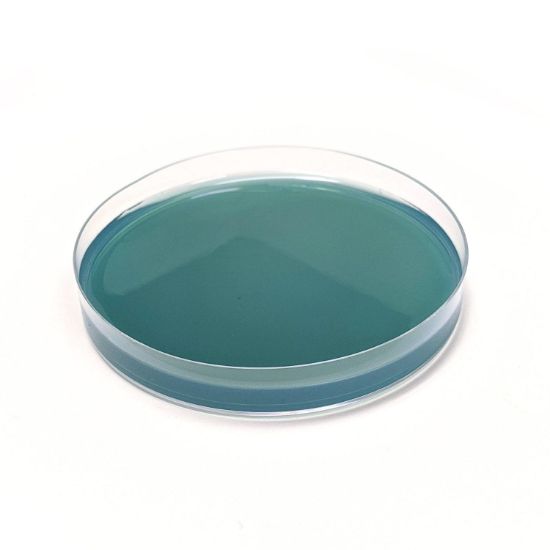 Picture of WLD Agar Plates