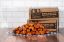 Picture of The Nugget Box
