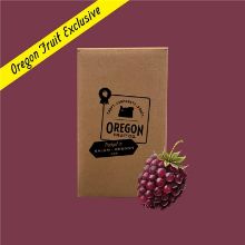 Picture of Loganberry Aseptic Puree 42lb Box