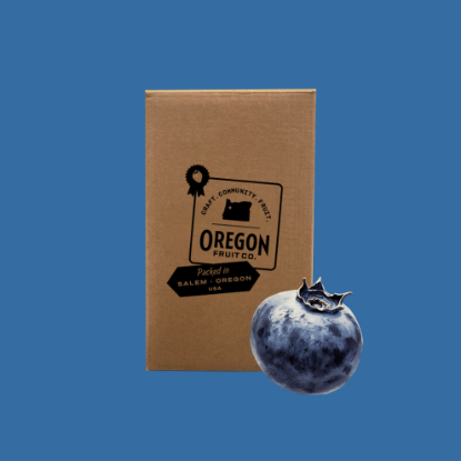 Picture of Blueberry Aseptic Puree