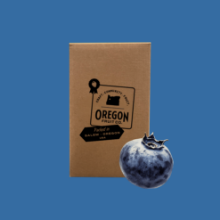 Picture of Blueberry Aseptic Puree 42lb Box