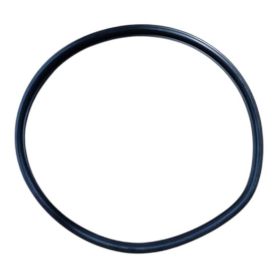Picture of EPDM Manway Gasket for Front-Manway Pressurized Tanks (Fermenters and Brite Tanks)