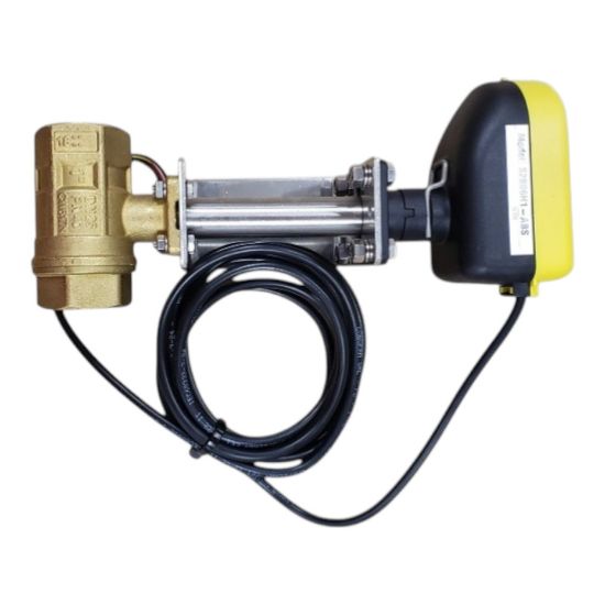 Picture of Steam Ball Valve 4-20mA 1 Inch