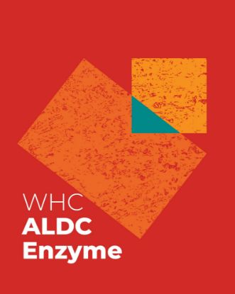 Picture of WHC Lab – ALDC Enzyme 1KG