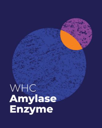 Picture of WHC Lab – Amylase Enzyme 1KG