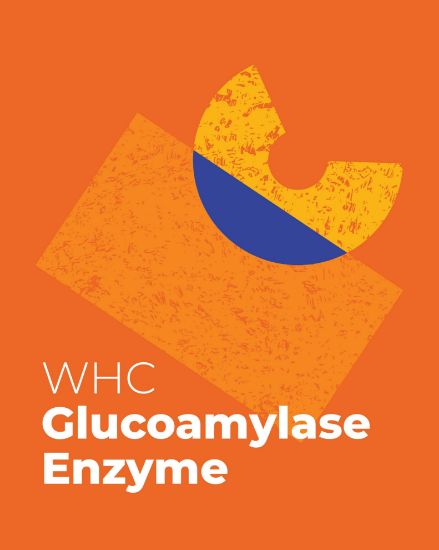Picture of WHC Lab – Glucoamylase Enzyme 1KG