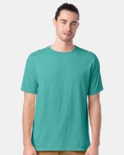 Picture of ComfortWash by Hanes - Garment-Dyed T-Shirt - GDH100 - XS - 3XL Spanish Moss