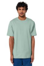 Picture of SXU018 Stanley/Stella Unisex Freestyler Heavyweight Tee Aloe / 3XL