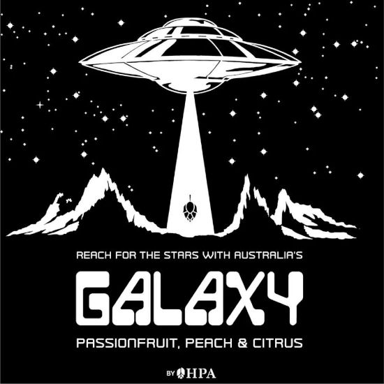 Picture of Galaxy® 94-203-008 c.v. T-90 Hop Pellets  - 1lb