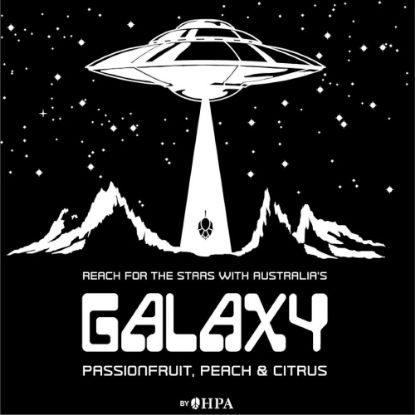 Picture of Galaxy® 94-203-008 c.v. T-90 Hop Pellets - 11lbs