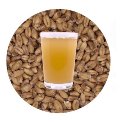 Picture of ASTRO WHITE WHEAT - 50 LB