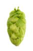 Picture of Monroe Hops