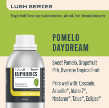 Picture of Euphorics 500mL / Pomelo Daydream