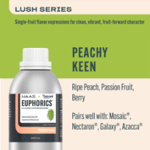 Picture of Euphorics 500mL / Peachy Keen