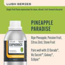 Picture of Euphorics 500mL / Pineapple Paradise