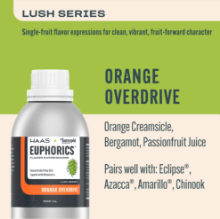 Picture of Euphorics 500mL / Orange Overdrive