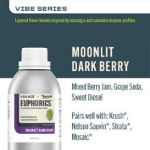 Picture of Euphorics 500mL / Moonlit Dark Berry