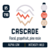 Picture of Cascade Hops