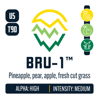 Picture of BRU-1 Hops