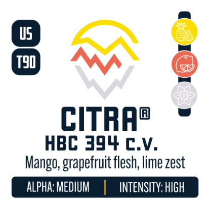 Picture of Citra Hops