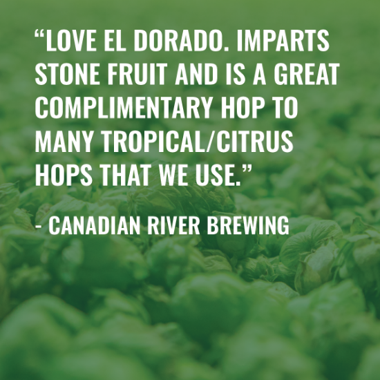 Picture of El Dorado Hops
