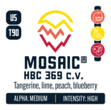 Picture of Mosaic Hops 8oz / 2024