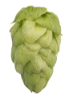 Picture of Enigma Hops