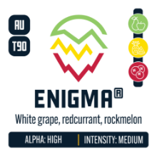 Picture of Enigma Hops 2oz / 2025