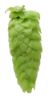 Picture of Vic Secret Hops