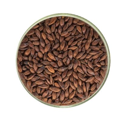 Picture of Chocolate Malt