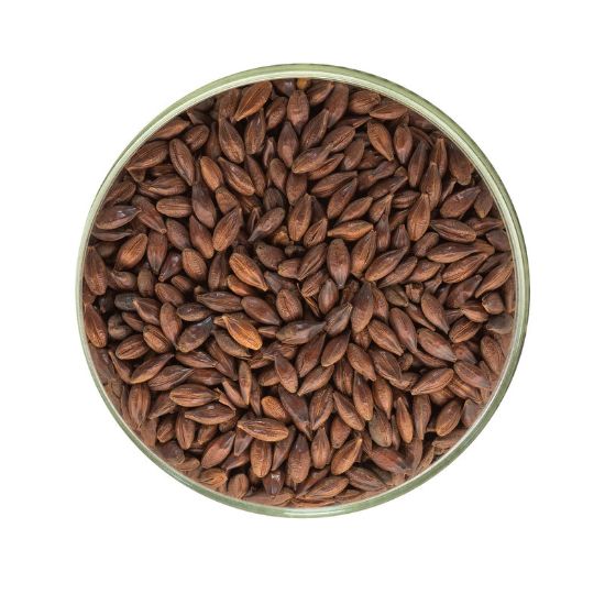 Picture of Chocolate Malt