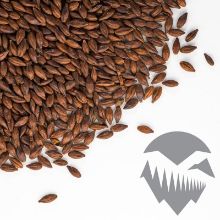 Picture of Chocolate Malt 1 lb / Milled