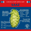 Picture of Czech Saaz Hops
