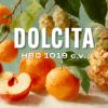 Picture of Dolcita (HBC 1019) Hops