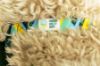 Picture of Dog Collar
