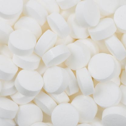 Picture of Conditioning Tablets 250 ct