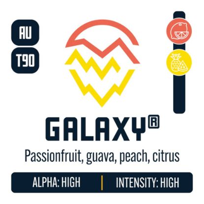 Picture of Galaxy® 94-203-008 c.v. T-90 Hop Pellets  - 1lb