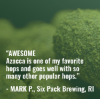 Picture of Azacca Hops