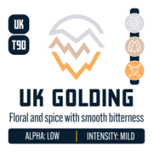 Picture of UK Golding Hops - 16oz / 2025