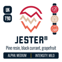 Picture of Jester Hops - 16oz / 2025