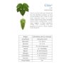 Picture of Citra® HBC 394 c.v. LUPOMAX® Hop Pellets - 11lbs
