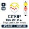 Picture of Citra® HBC 394 c.v. LUPOMAX® Hop Pellets - 1lb