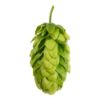 Picture of Hallertau Mittelfruh T-90 Hop Pellets - 11lbs