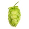 Picture of Hallertau Tradition T-90 Hop Pellets - 1lb